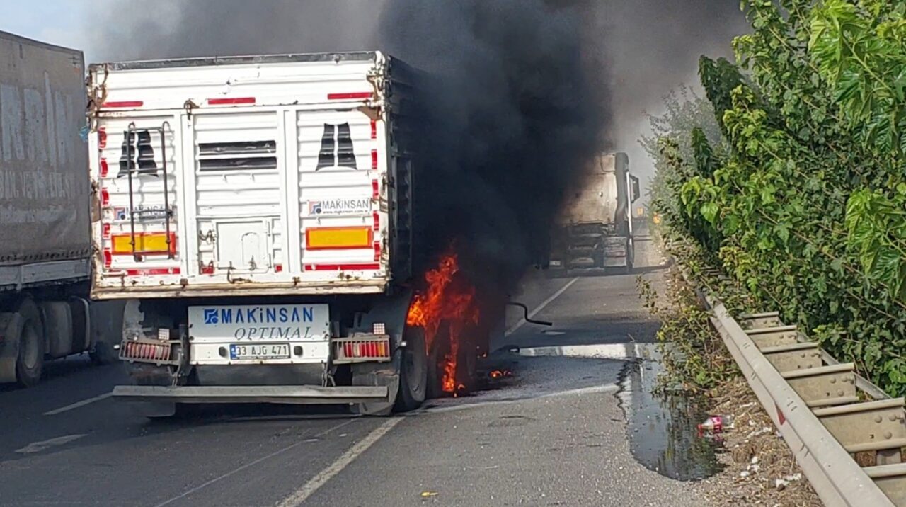 Şanlıurfa'nın Viranşehir ilçesinde seyir halindeki bir tır, tekerleklerinden duman çıkması