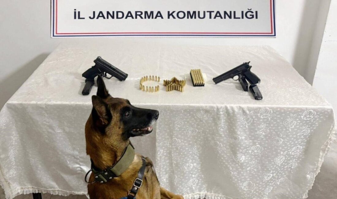 Şanlıurfa'da jandarma ekipleri, silah kaçakçılığına yönelik düzenlediği operasyonda 8 kişiyi