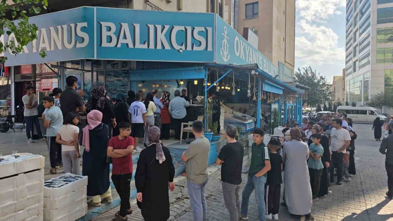 Şanlıurfa’da Balık Festivali: 5 Ton Taze Hamsi 35 TL’den Satışa Sunuldu