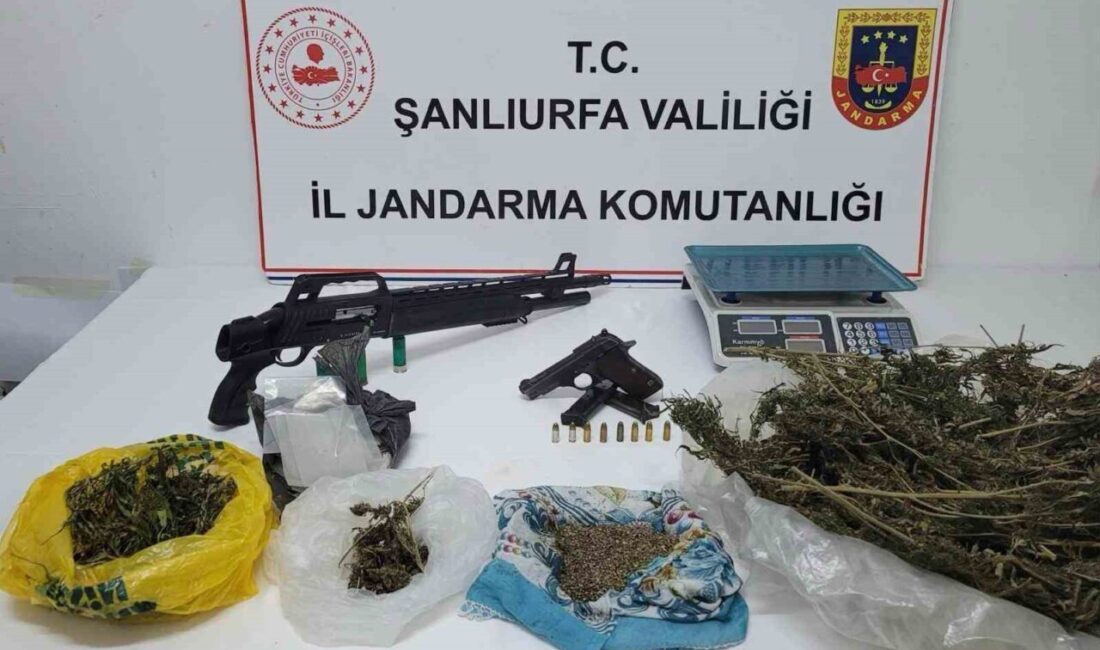Şanlıurfa'da jandarma, Suruç ilçesinde bir adrese düzenlediği operasyonda 670 gram
