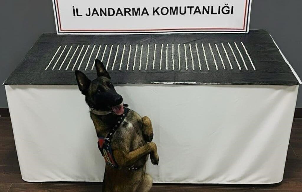 Şanlıurfa’da Jandarmanın Uyuşturucu Operasyonunda 3 Şahıs Gözaltına Alındı, Bin 206 Hap Ele Geçirildi Şanlıurfa’da jandarma, uyuşturucu ticareti yapan şahıslara yönelik bir operasyonda 1,206