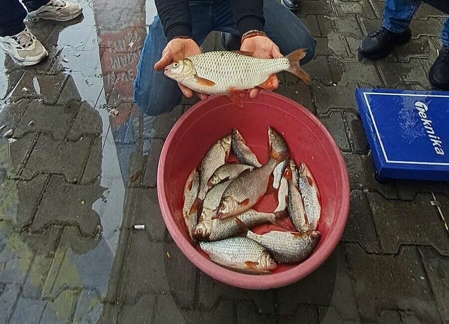 Sapanca’da Amatör Balıkçılar Arasında Kızılkanat Yakalama Yarışması Coşkusu Yaşandı Sapanca'da düzenlenen kızılkanat balığı tutma yarışmasında amatör balıkçılar zorlu bir