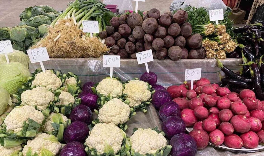 Sarıgöl’de Ata Tohumlarından Sebze Yetiştiren Hüseyin Karcı, Kış Hasadına Başladı Sarıgöl'de 25 yıldır ata tohumlarıyla sebze üreten Hüseyin Karcı, kışlık