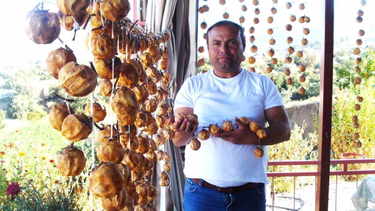 Manisa'nın Sarıgöl ilçesinde sonbahar geleneği olarak cennet elması kurutma işlemleri