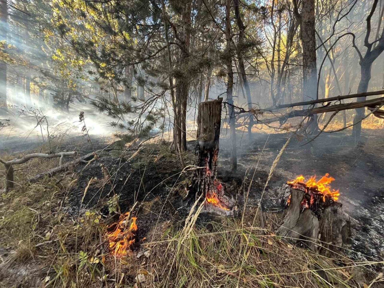 Kars'ın Sarıkamış ilçesindeki Mescitli köyü Ereğli Tepe bölgesinde çıkan örtü