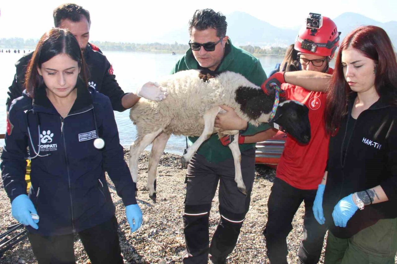 İzmir'de AFAD öncülüğünde 180 personelin katılımıyla gerçekleştirilen tatbikatta muhtemel bir