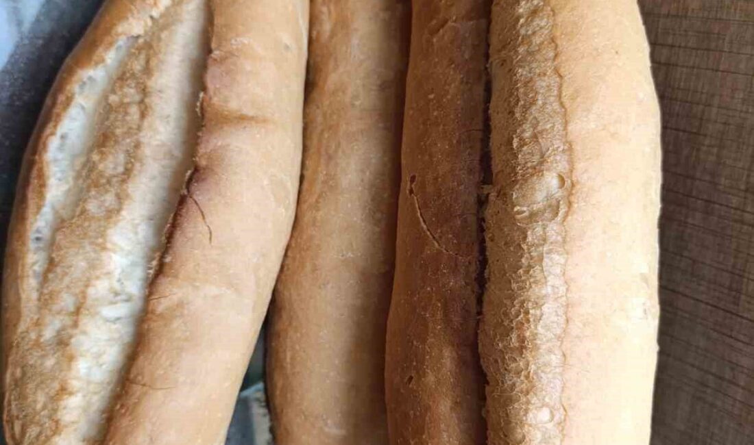 Manisa'nın Selendi ilçesinde ekmeğin fiyatı yüzde 25 oranında arttı. 200