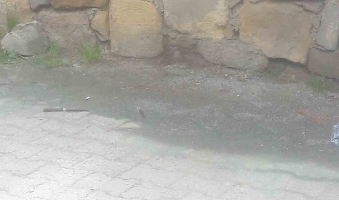 Kastamonu’daki bıçaklama olayında baba ve oğula indirimli ceza verildi Kastamonu'da alacak yüzünden tartışan Mustafa T., baba Erdal K. ve