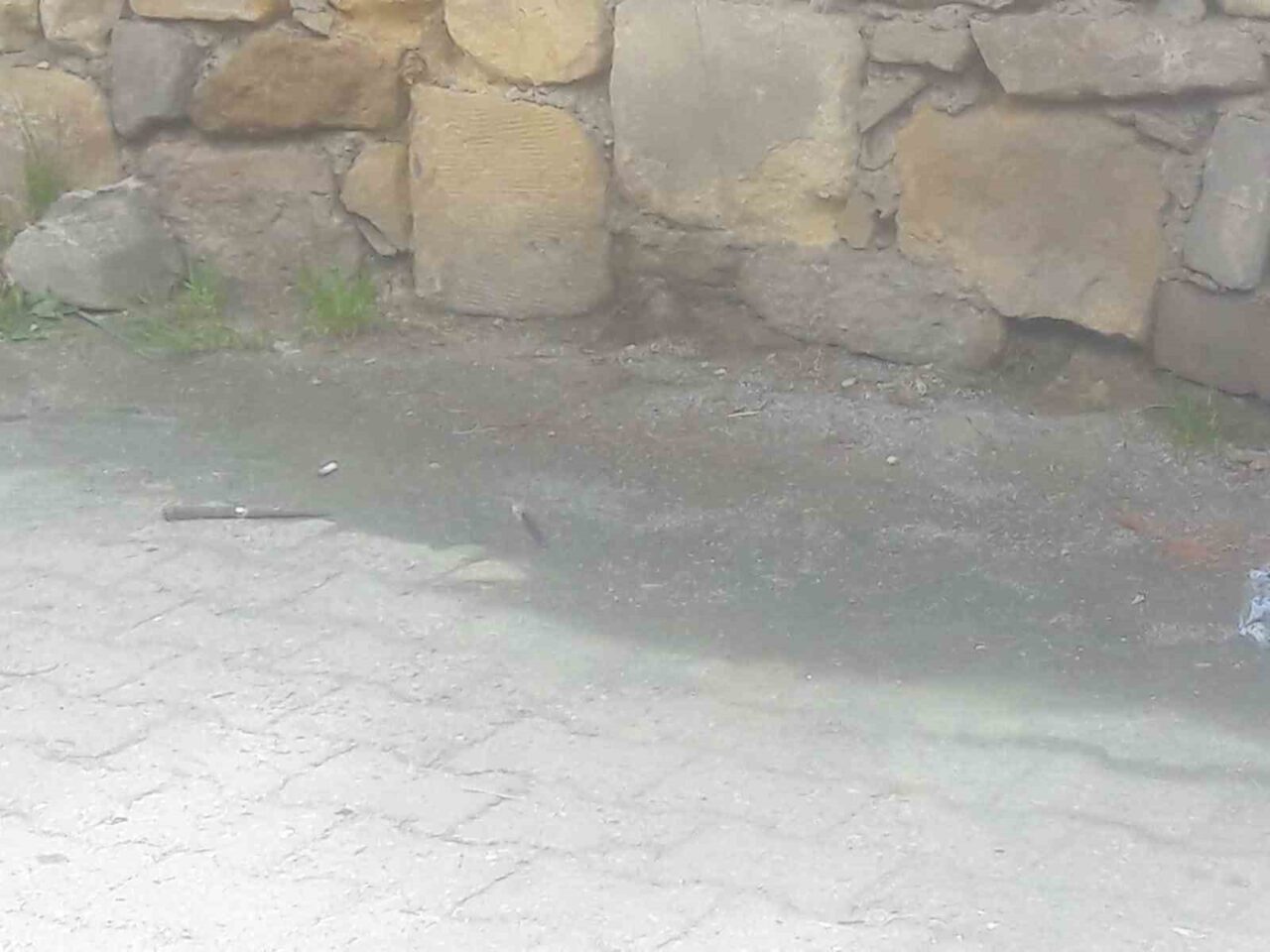 Kastamonu'da alacak yüzünden tartışan Mustafa T., baba Erdal K. ve