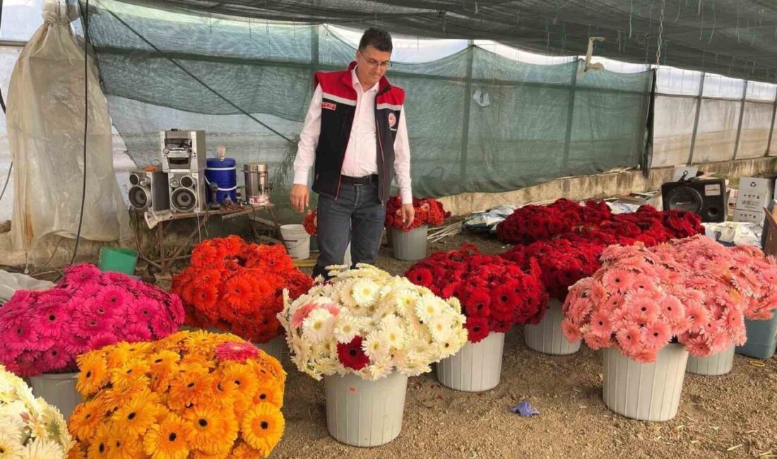 Tekirdağ Tarım ve Orman İl Müdürü Mehmet Aksoy, Süleymanpaşa'daki çiftçileri