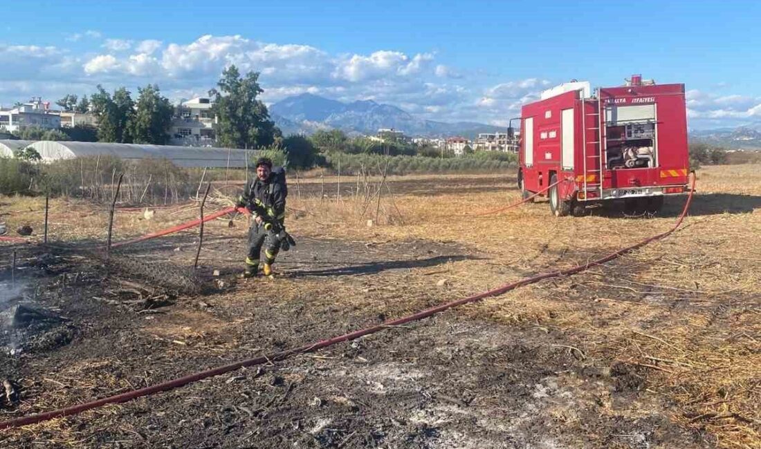 Serik’te Ahırda Çıkan Yangında Bir Koyun Telef Oldu, İtfaiye Ekipleri Duruma Müdahale Etti Antalya'nın Serik ilçesinin Akçaalan Mahallesi'nde bir ahırda çıkan yangında 1