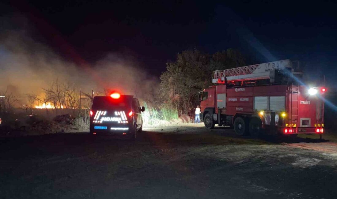 Antalya'nın Serik ilçesinde D-400 karayolu kenarında çıkan yangın, rüzgarın etkisiyle