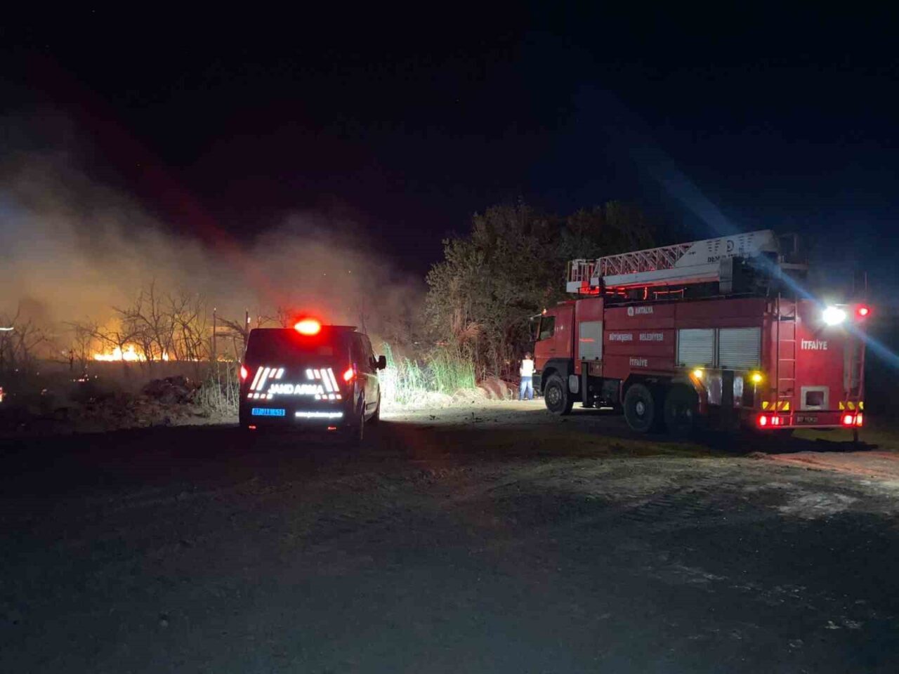 Antalya'nın Serik ilçesinde D-400 karayolu kenarında çıkan yangın, rüzgarın etkisiyle