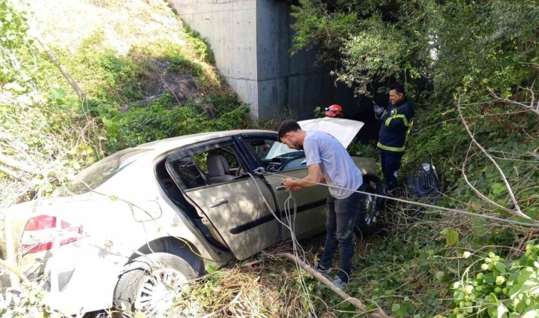 Bilecik’te D650 kara yolunda seyir halindeki Necdet K. kontrolündeki otomobilin