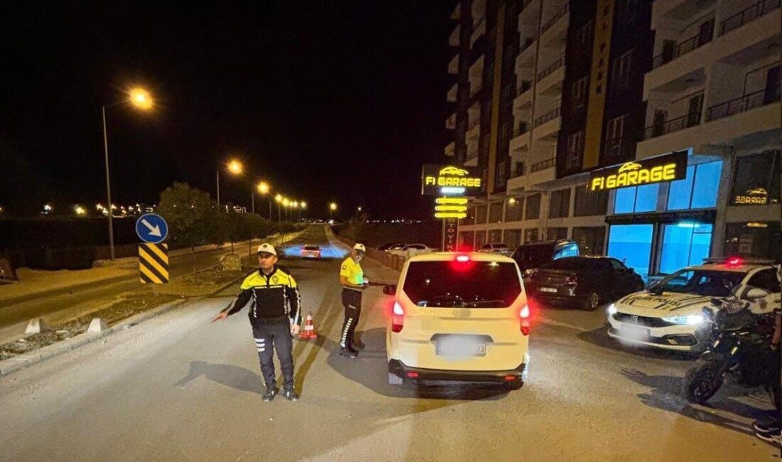 Siirt'te yapılan alkol denetiminde 17 araç ve sürücüsüne toplamda 99