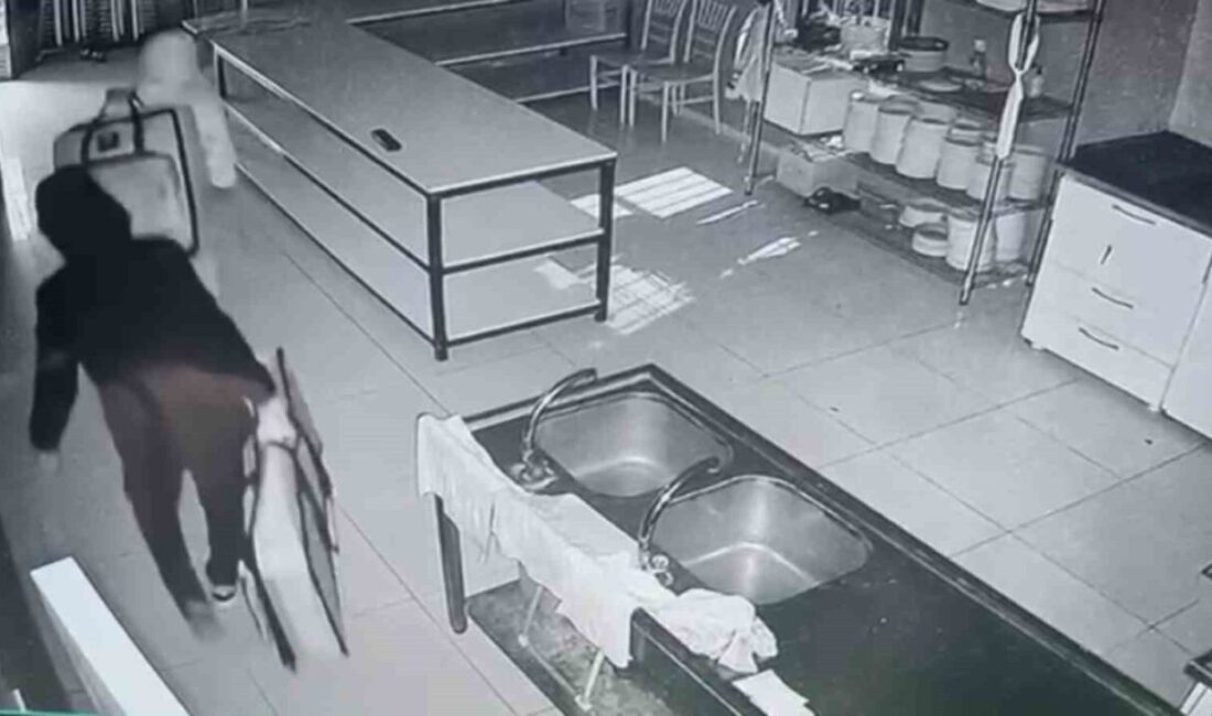 Siirt’te Düğün Salonundan 220 Bin Liralık Müzik Ekipmanı Çalındı, 2 Şüpheli Tutuklandı Siirt'te bir düğün salonundan 220 bin lira değerinde müzik ekipmanının