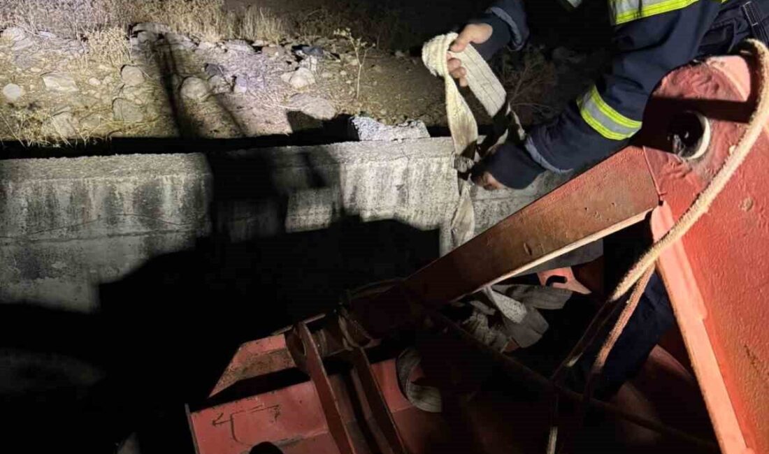 Siirt'in Şavuran Mahallesi'nde, atık su arıtma kanalına düşen inek, itfaiye