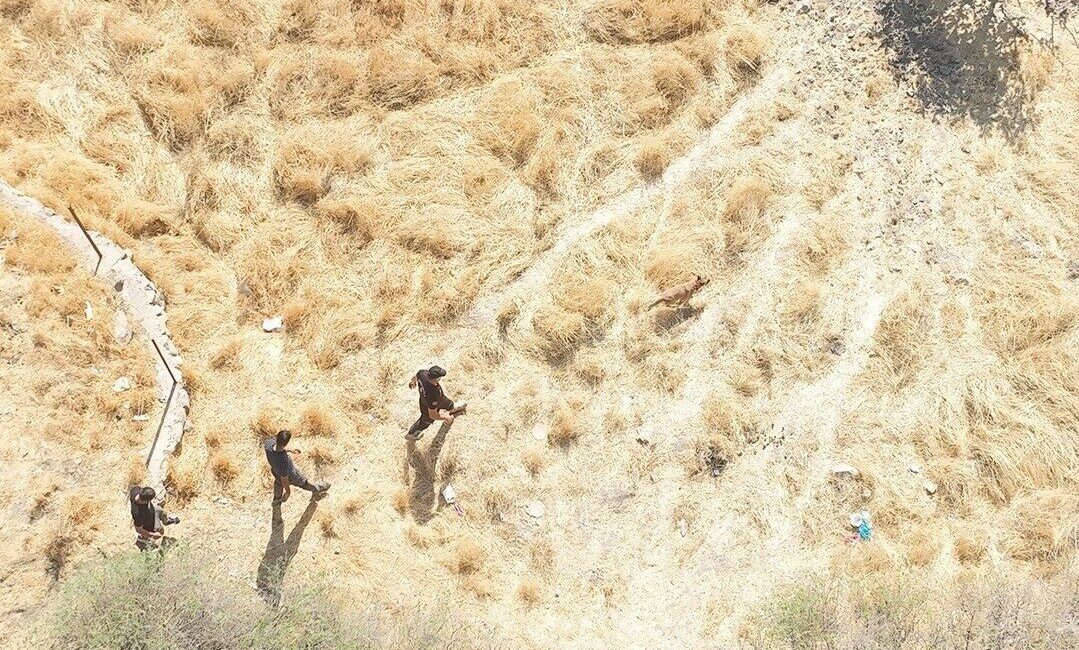 Siirt'te 17 Eylül'de kaybolan 83 yaşındaki alzaymır hastası Ramazan Batur'un