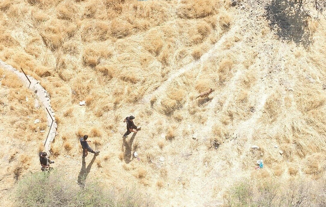Siirt’te Kaybolan Alzheimer Hastası İçin 30 Gün Süren Arama Çalışmaları Devam Ediyor