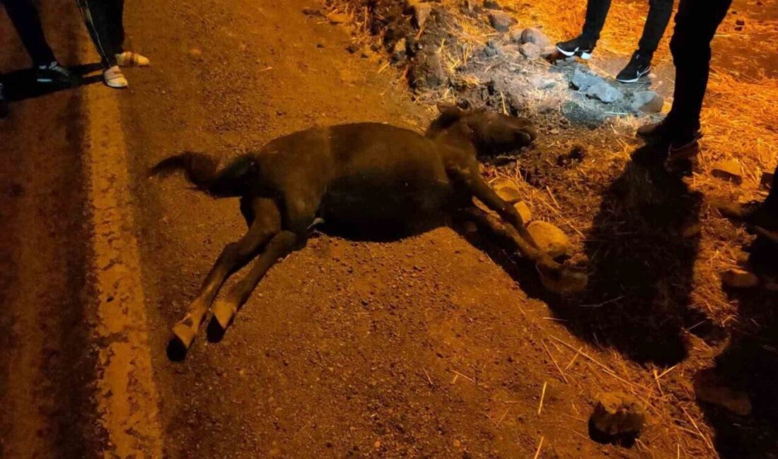 Siirt'in Kurtalan ilçesinde meydana gelen trafikteki kaza, otomobil ile yola