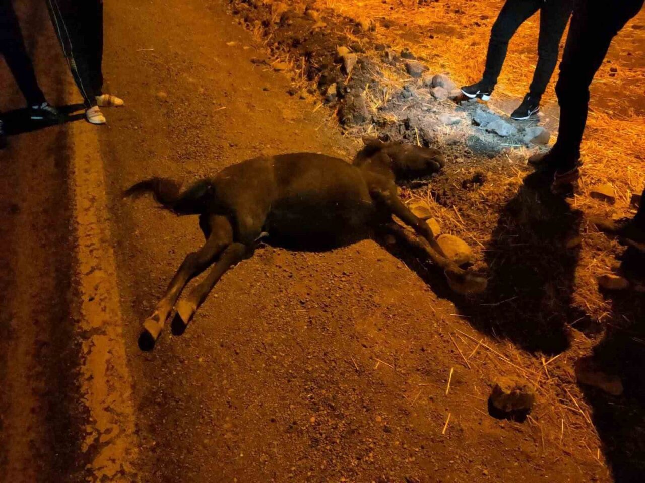 Siirt'in Kurtalan ilçesinde meydana gelen trafikteki kaza, otomobil ile yola