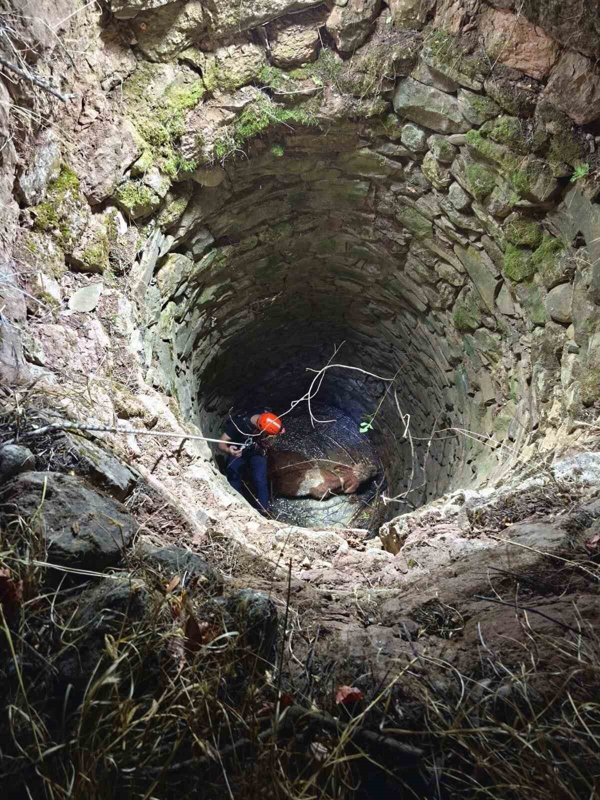 Siirt’te Su Kuyusuna Düşen İnek, AFAD ve İtfaiye Ekiplerinin Müdahalesiyle Kurtarıldı