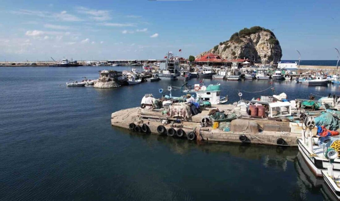 Şile'de palamut avı bu yıl beklentilerin altında kaldı. Balıkçılar, sert