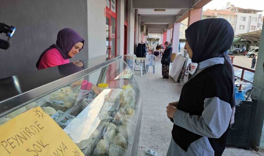 Balıkesir Sındırgı'da "50 Peynirli Şehrim" projesi kapsamında kurulan Butik Mandıra,