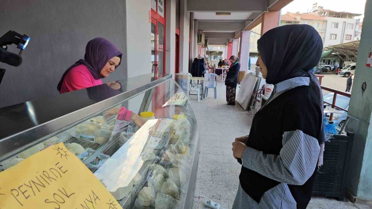 Balıkesir Sındırgı'da "50 Peynirli Şehrim" projesi kapsamında kurulan Butik Mandıra,