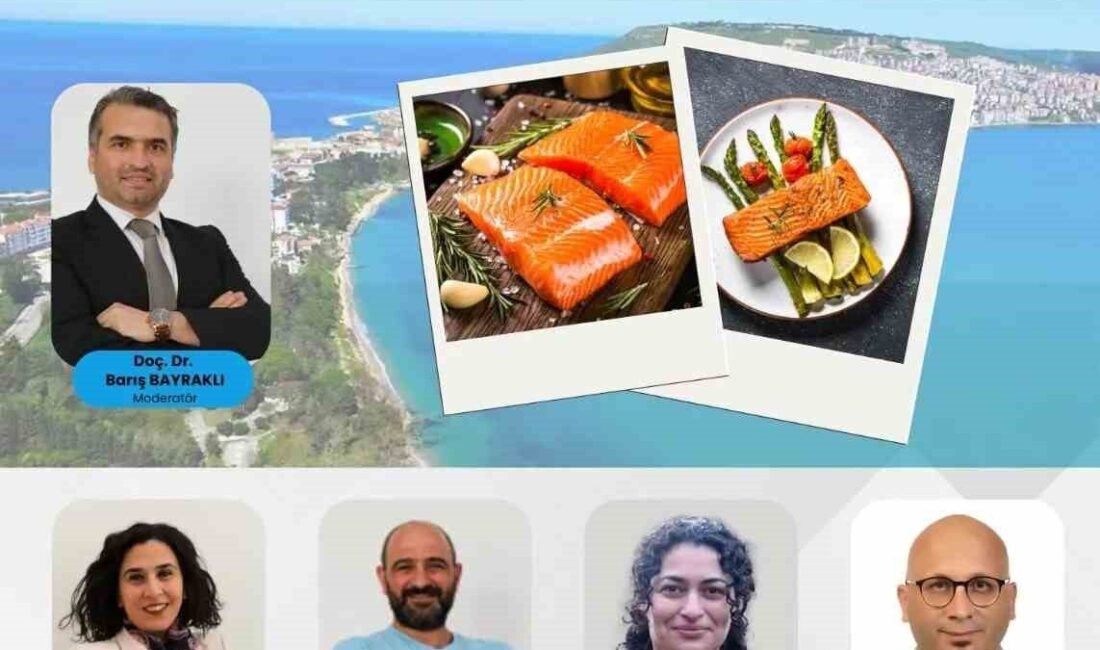 Sinop’un Sosyoekonomik Kalkınması için “Vizyon 2030” Söyleşileri Başlatılıyor TÜİK'in raporunda son sırada yer alan Sinop için Karadeniz Çevre