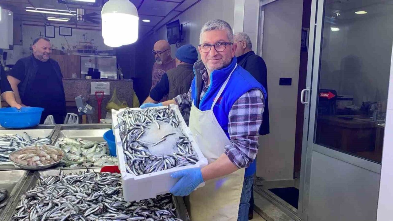 Sinop'ta av sezonunun açılmasıyla hamsi tezgahlarda bolca yer alıyor. Balıkçı