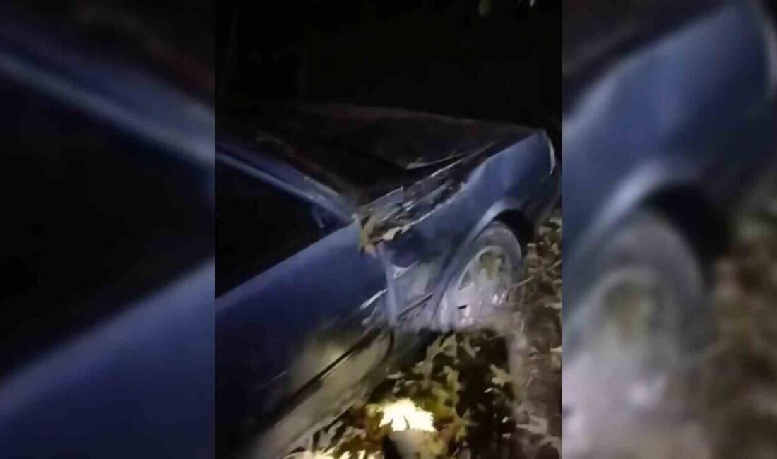 Sinop’ta kontrolden çıkan otomobil şarampole devrildi, 3 yaralı var. Sinop'un Ayancık ilçesinde meydana gelen kazada, direksiyon hakimiyetini kaybeden otomobil