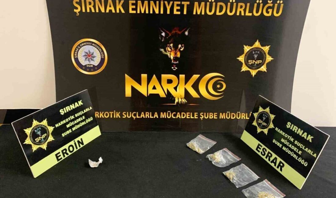 Şırnak'ta 29 Eylül-5 Ekim tarihleri arasında gerçekleştirilen operasyonlarla 40 şüpheli