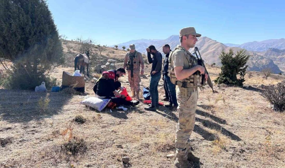 Şırnak'ın Beytüşşebap ilçesindeki Kovankaya bölgesinde 21 yaşındaki Leyla Çakır, attan