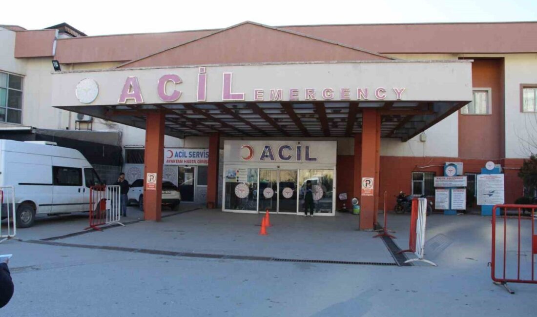 Şırnak'ın Başağaç köyünde çoban köpeklerinin kavgası nedeniyle İ.C. ve M.A.