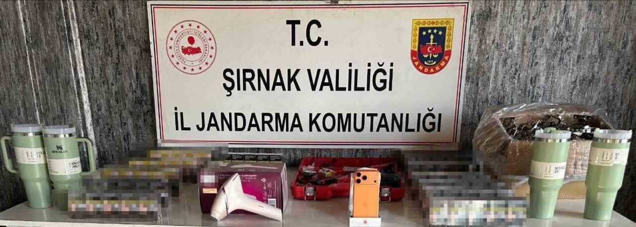 Şırnak'ta Jandarma Komutanlığı'nın düzenlediği operasyonda 14 milyon 788 bin lira