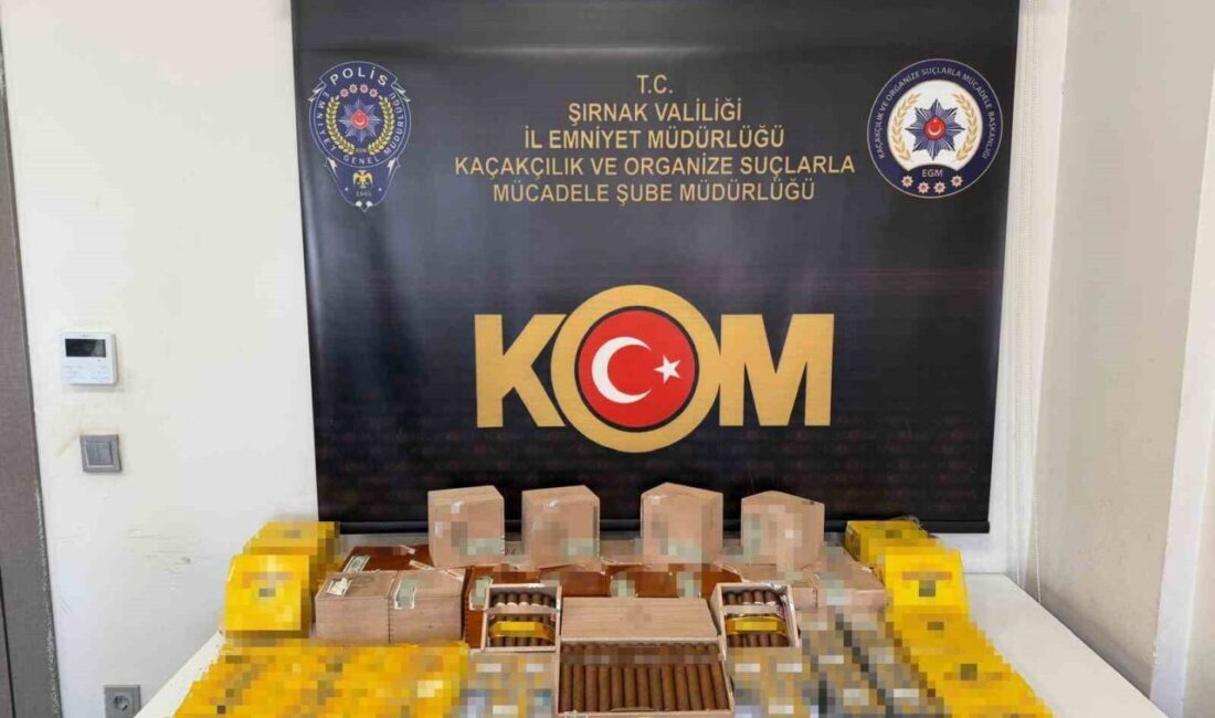 Şırnak Emniyet Müdürlüğü, merkez ve ilçelerdeki narkotik ve kaçakçılık operasyonlarıyla