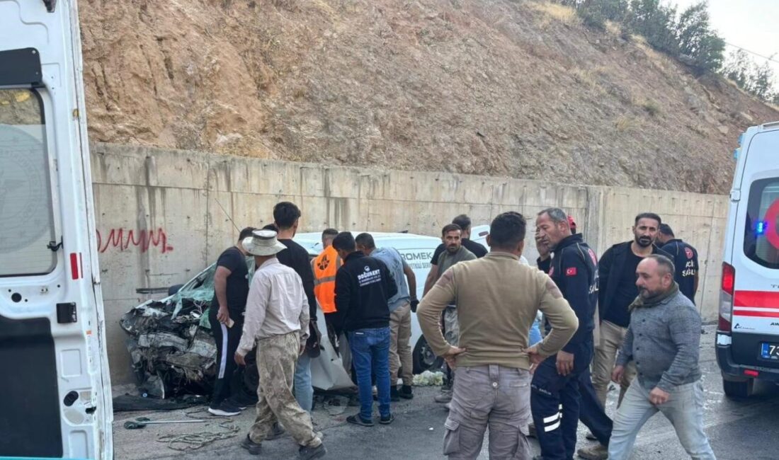 Şırnak'ın Uludere ilçesinde, Ortabağ ve Ortasu köyleri arasında bir yolcu