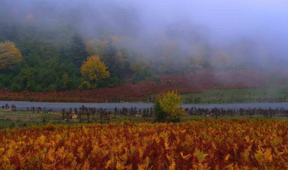 Sakarya Büyükşehir Belediyesi, doğaseverleri Geyve Kılıçkaya Zirvesi’nde 14 kilometrelik yürüyüşte
