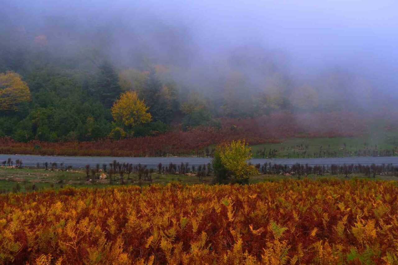 Sakarya Büyükşehir Belediyesi, doğaseverleri Geyve Kılıçkaya Zirvesi’nde 14 kilometrelik yürüyüşte