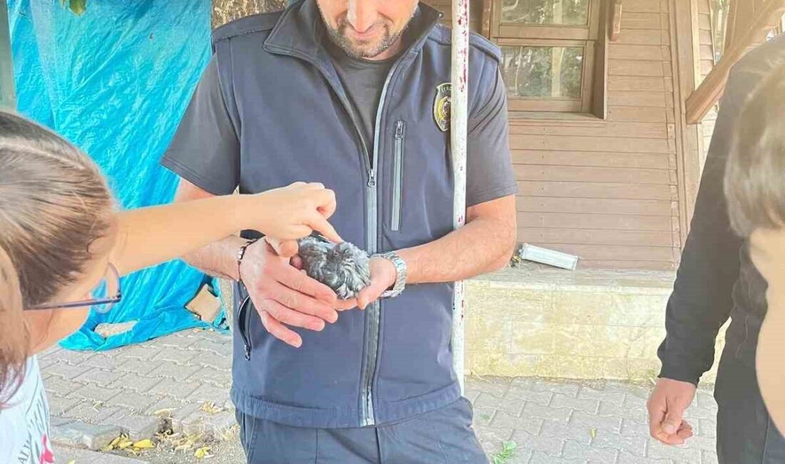 Sivas'ta bir parkta, fıskiyeli süs havuzunun boru hattına sıkışan bir