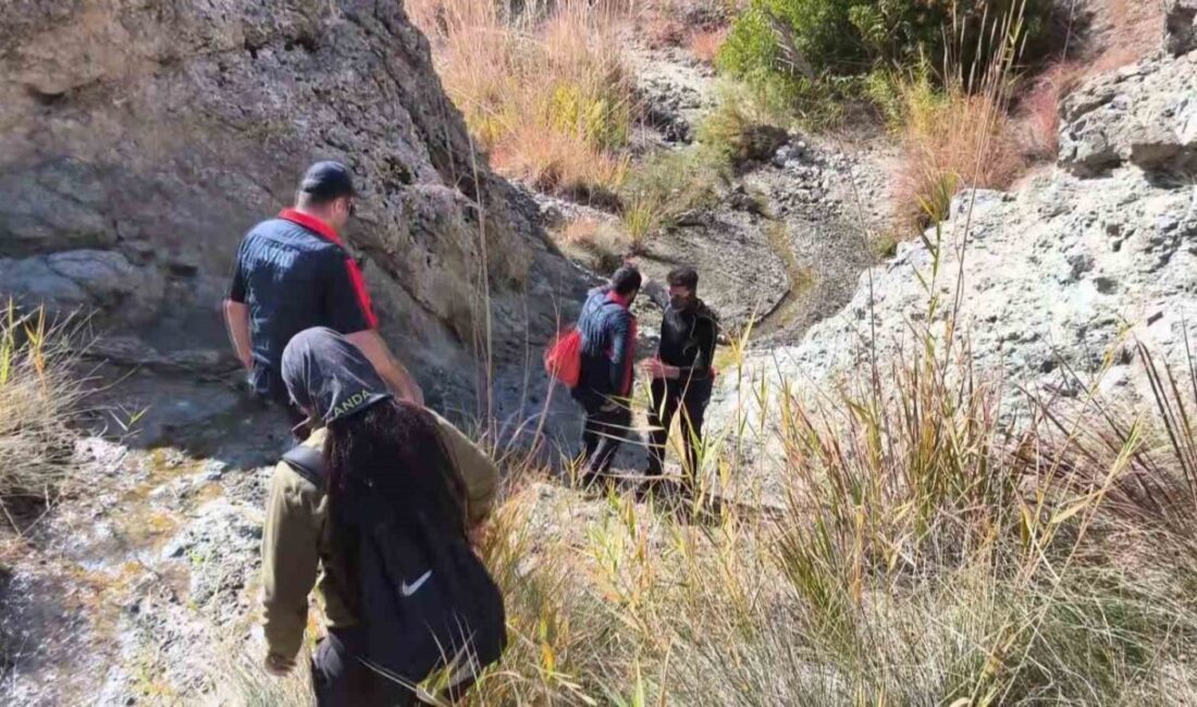Sivas'ta kaybolan 82 yaşındaki Alzheimer hastası Dursun Ünal, evinden ayrıldıktan