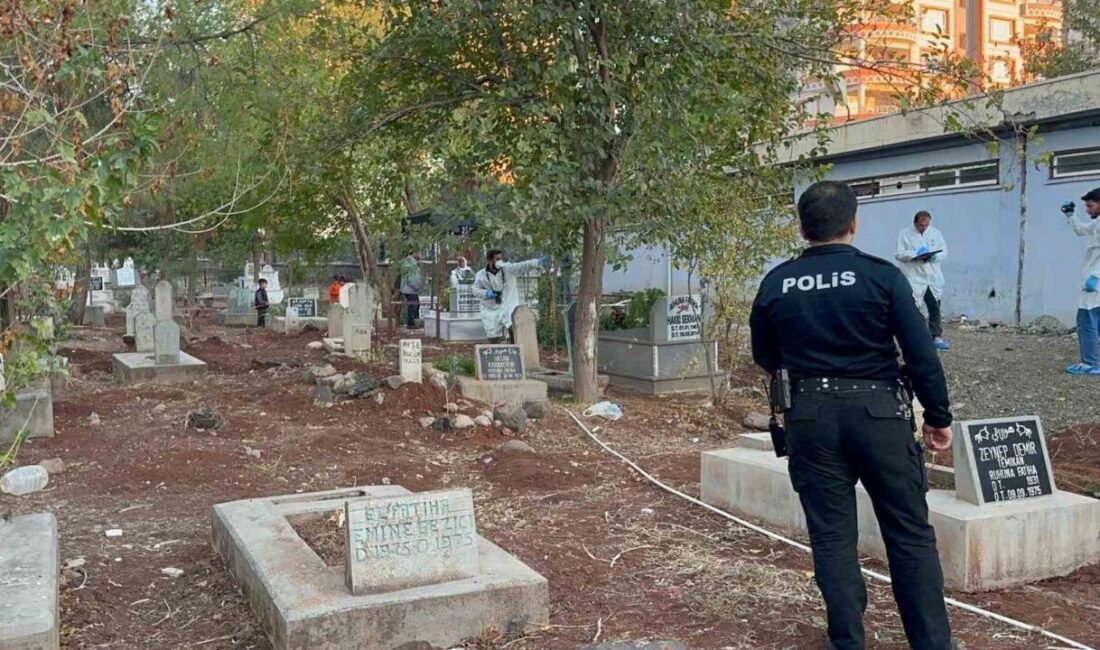 Siverek’te Mezarlıkta Bebek Cesedi Bulundu, Soruşturma Başlatıldı Şanlıurfa'nın Siverek ilçesindeki mezarlıkta, K.S. tarafından bulunan bebek cesedi, sokak