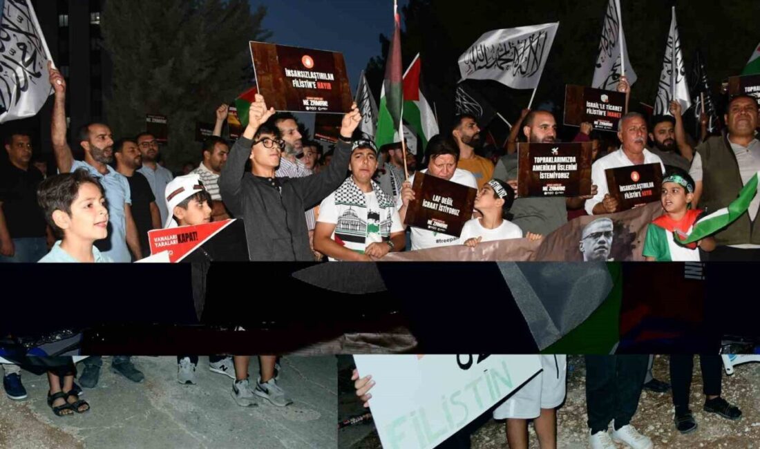 Şanlıurfa'nın Siverek ilçesinde yüzlerce araçla düzenlenen konvoy, Uluslararası Sumud Filosu'na