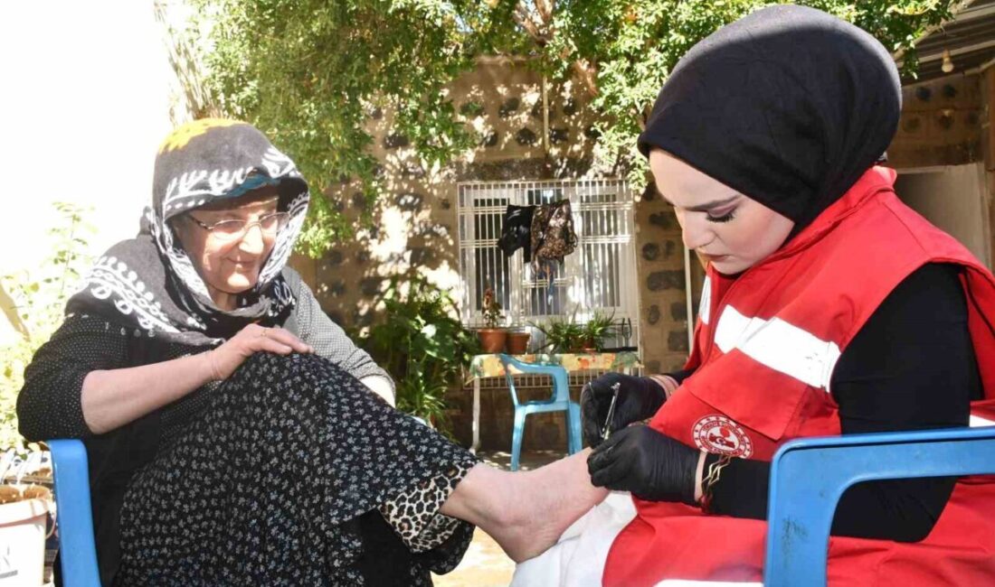 Şanlıurfa'nın Siverek ilçesinde, 2022'de başlayan "Vefa Programı", yaşlı ve engelli