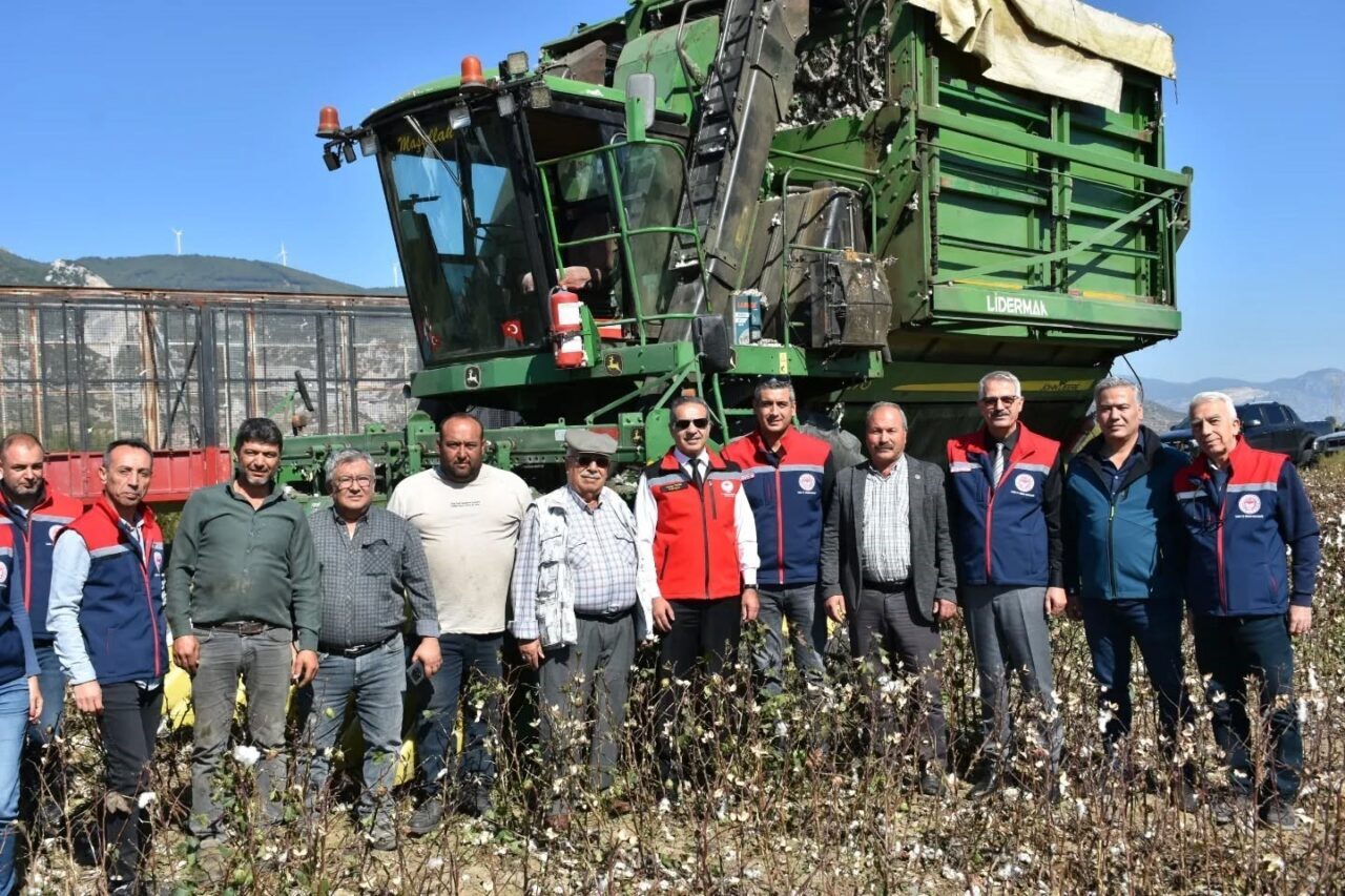 Söke Pamuk Hasadı Devam Ediyor: Aydın Türkiye Üretiminde Üçüncü Sırada