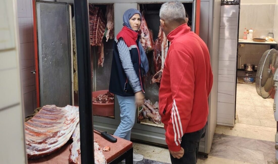 Söke’de Gıda Güvenliği İçin Denetimler Aralıksız Devam Ediyor Aydın'ın Söke ilçesinde İlçe Tarım ve Orman Müdürlüğü, gıda güvenliğini