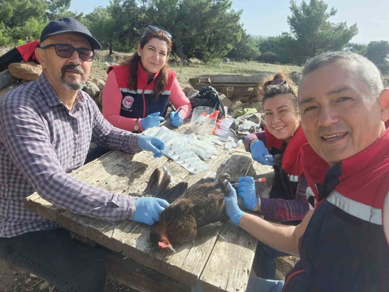 Aydın'ın Söke ilçesinde, kuş gribi ile ilgili yürütülen saha taramaları