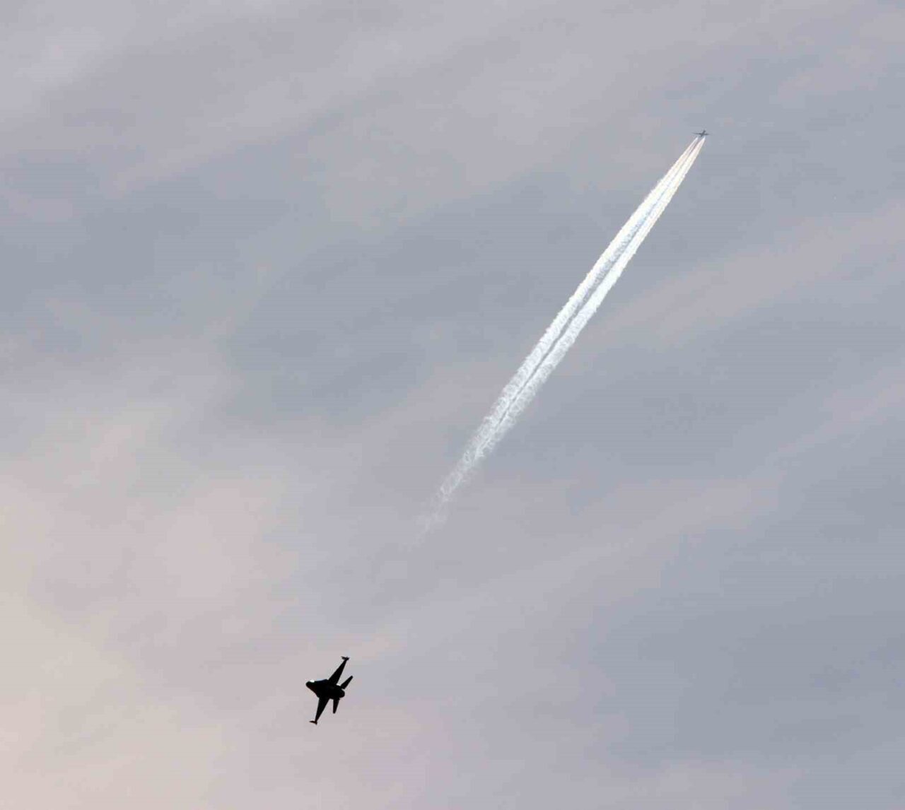 Kayseri Büyükşehir Belediyesi ve TÜBİTAK işbirliğiyle gerçekleştirilen 7. Bilim Festivali'nde