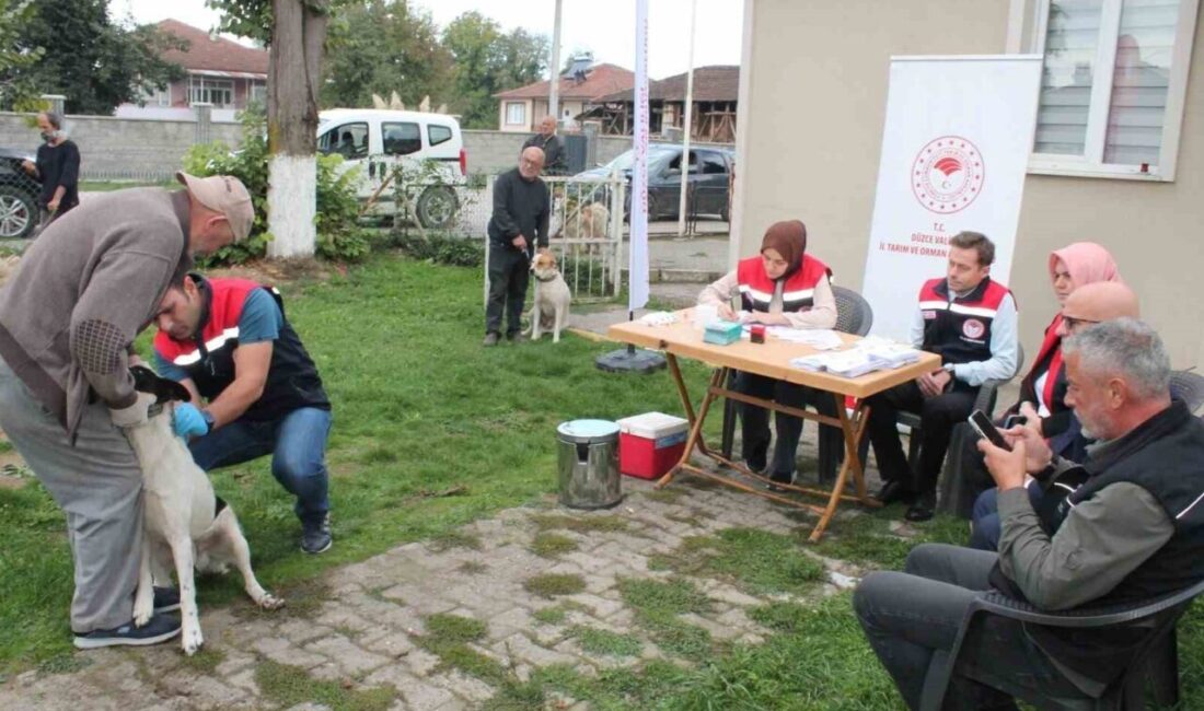Düzce'de, 5199 sayılı Hayvanları Koruma Kanunu gereği, 13 bin 123